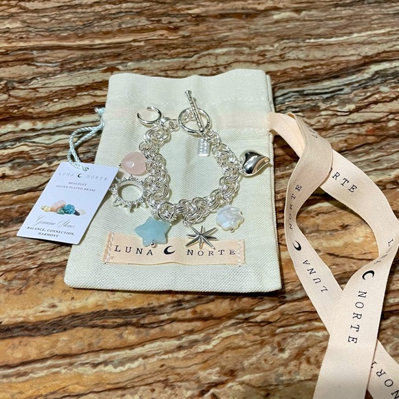 Luna Norte - Picture 6 of 9